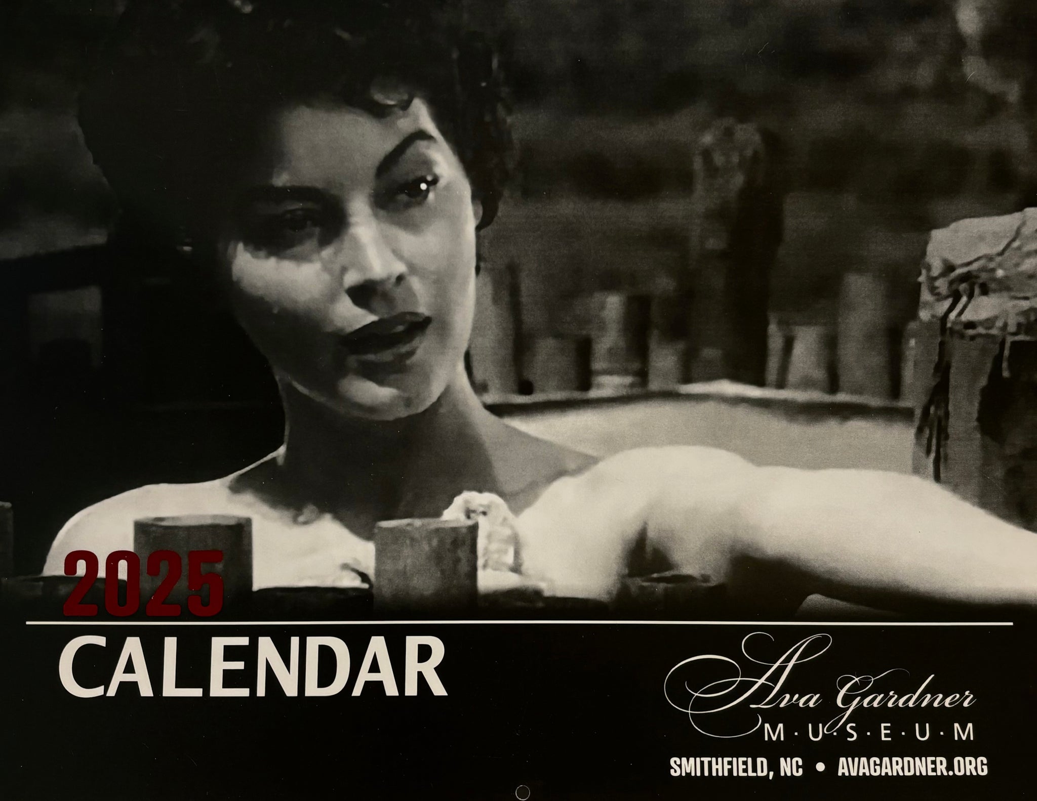 2025 Calendar - Literary Ava